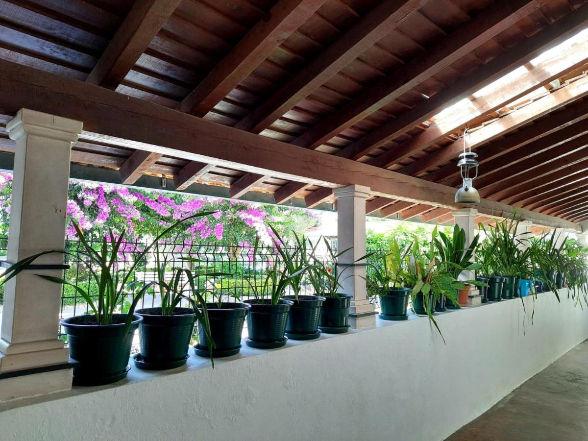 Villa Qm - Quinta Da Morgadinha - Casa Em Quinta Rural à Cabecos Extérieur photo