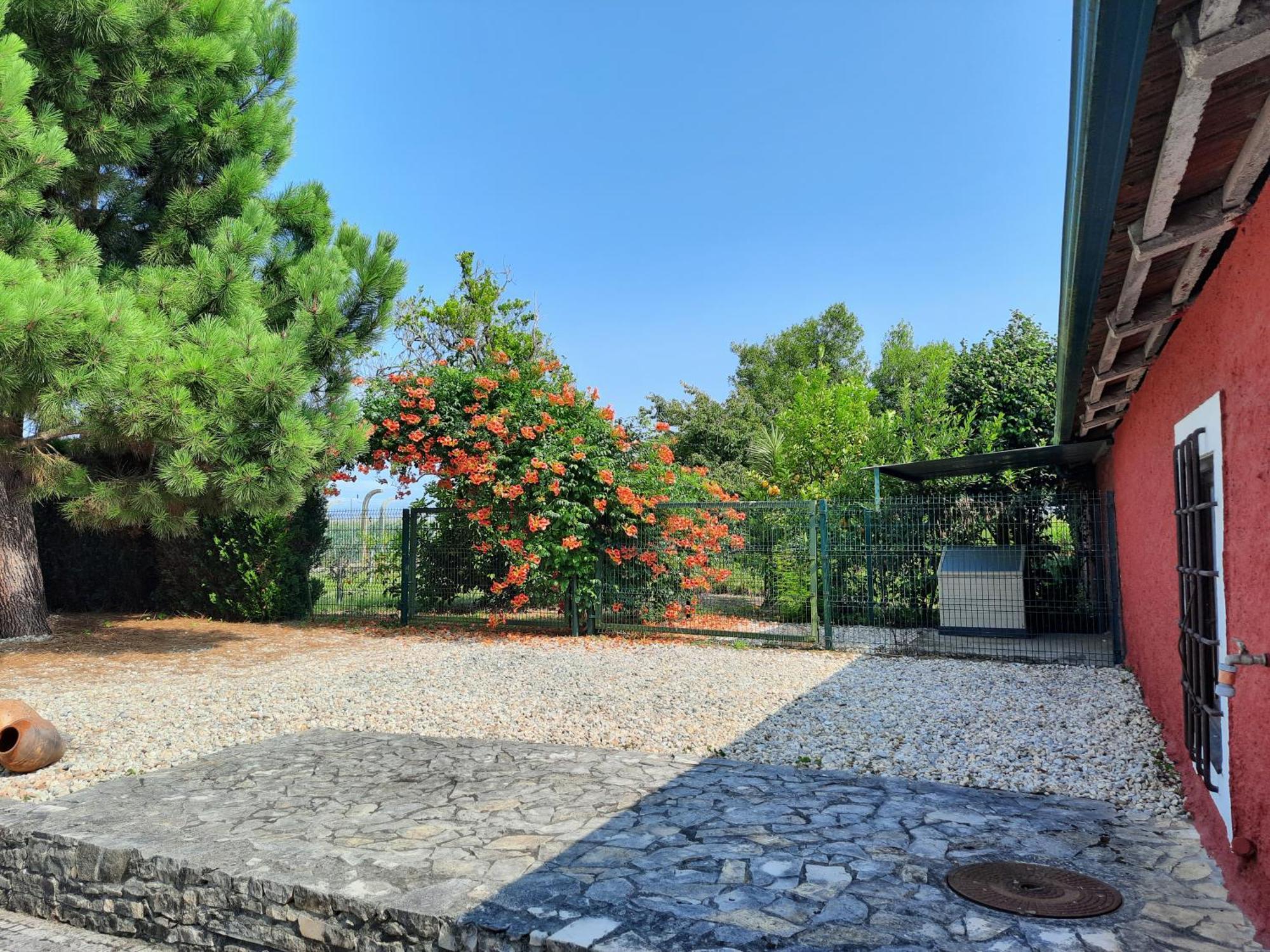 Villa Qm - Quinta Da Morgadinha - Casa Em Quinta Rural à Cabecos Extérieur photo