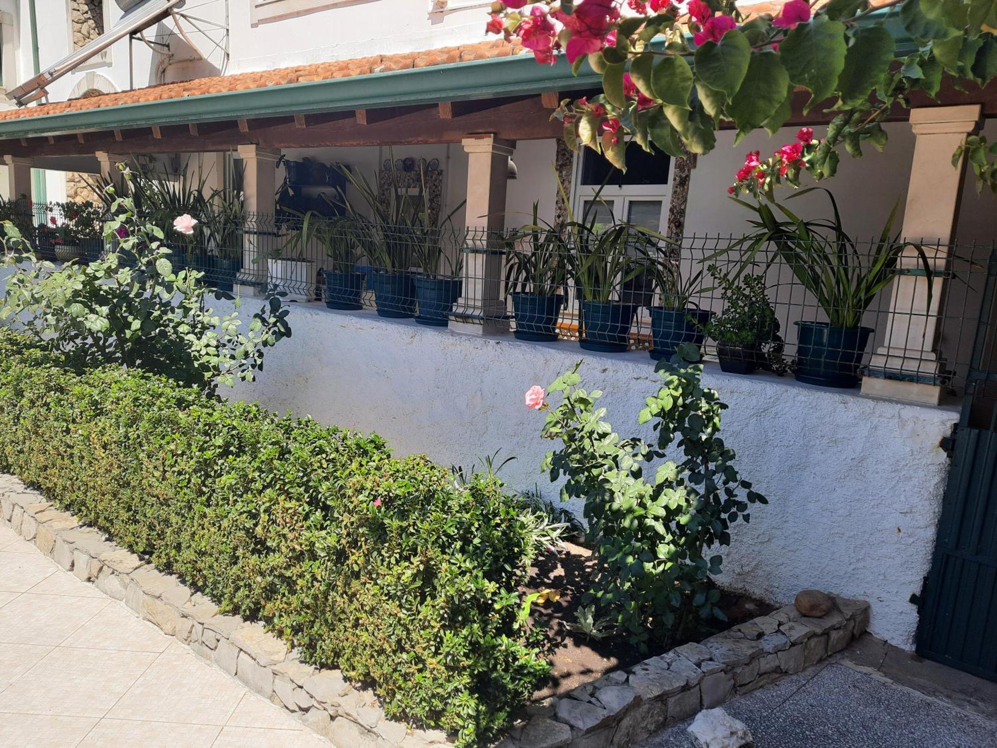 Villa Qm - Quinta Da Morgadinha - Casa Em Quinta Rural à Cabecos Extérieur photo